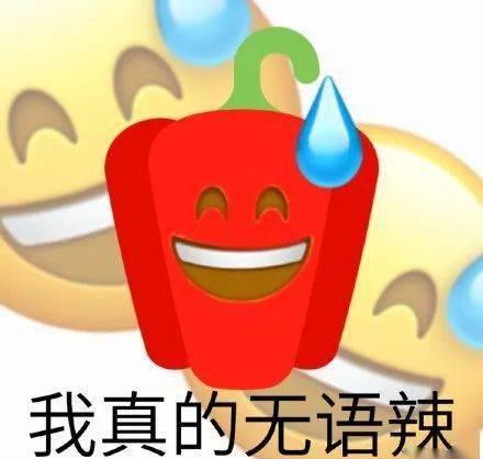 花了1000块钱拍艺术照,花了900元拍的照片