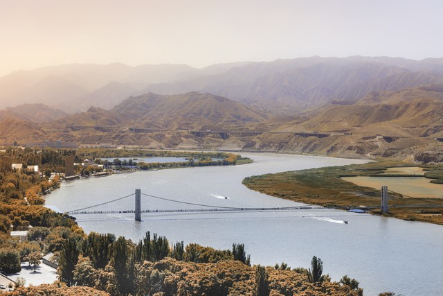 正宗宁夏红枸杞风景,宁夏红色枸杞