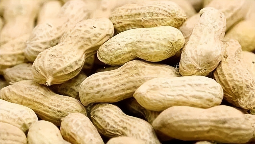 中国地理标志农产品品牌展播,洛阳十大农产品品牌排行榜