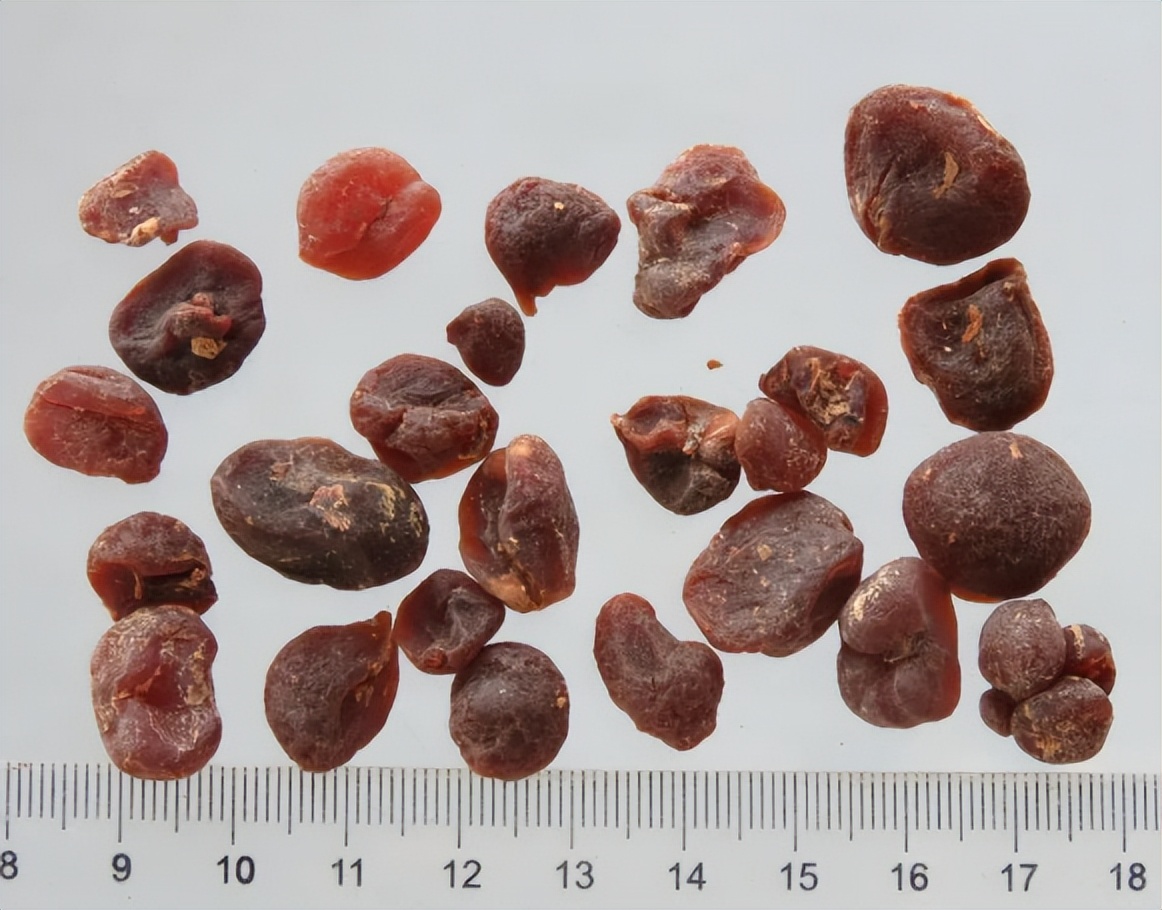 带你识别中药材,土贝母图片