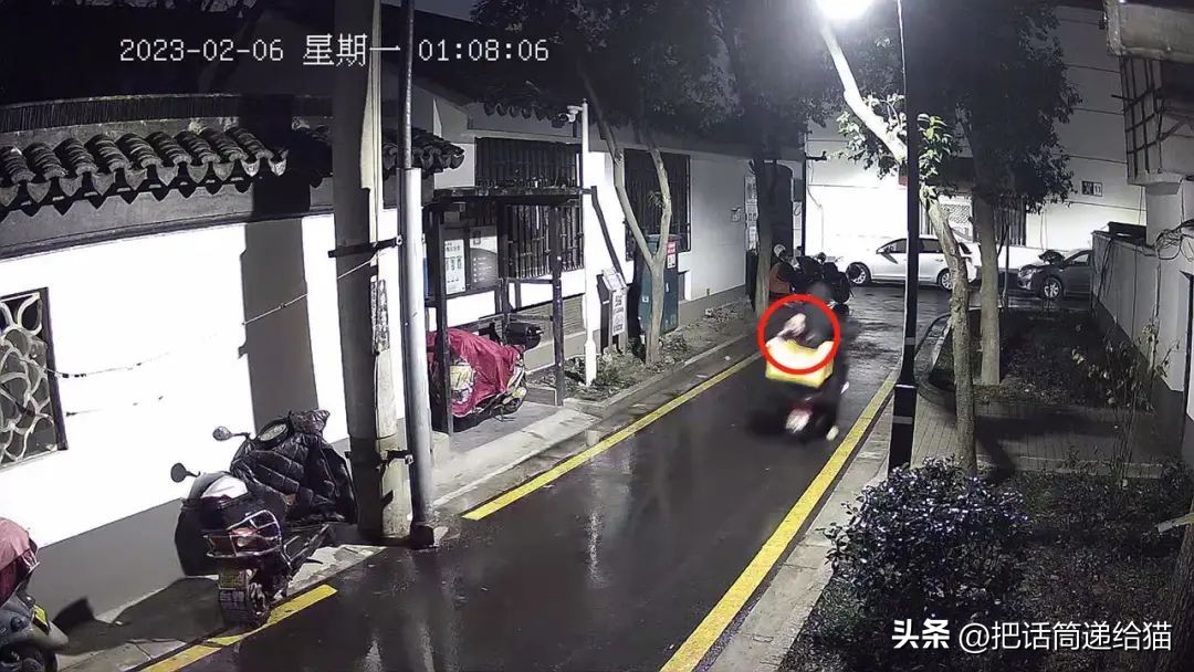 江苏偷猫事件,偷猫人被抓新闻