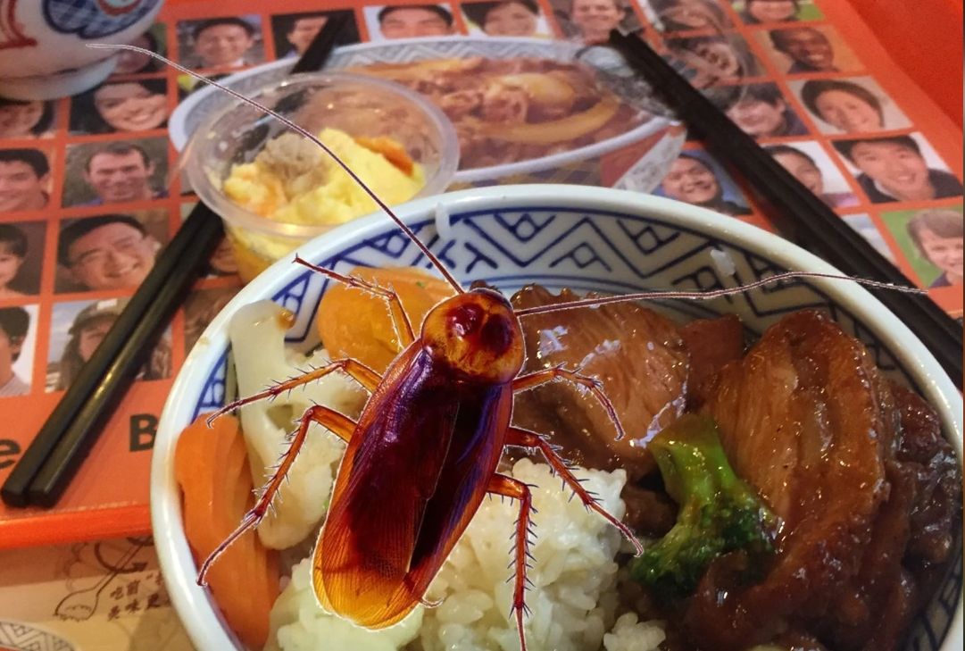 315曝光过的6种坑人食品,触目惊心2018年315曝光的食品状况