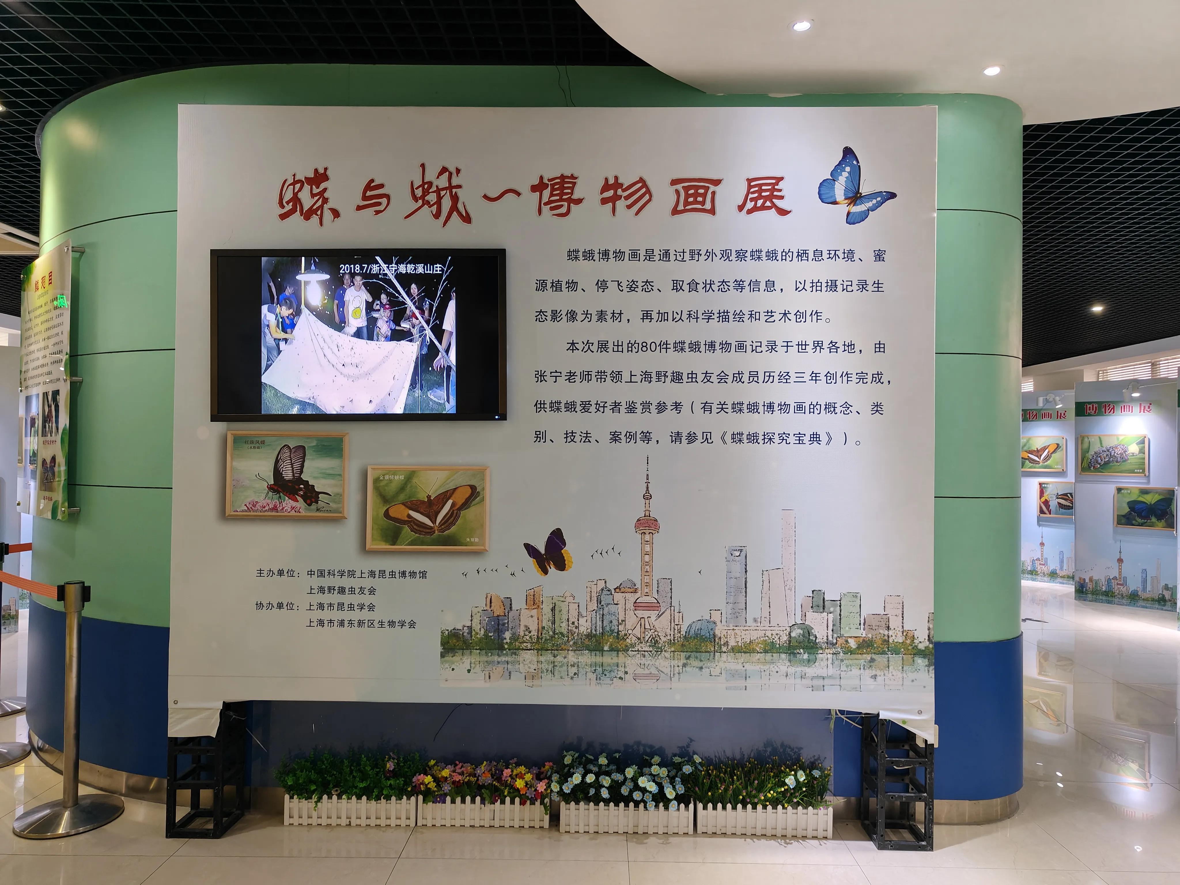 神兽暑假去哪玩,神兽暑假生活