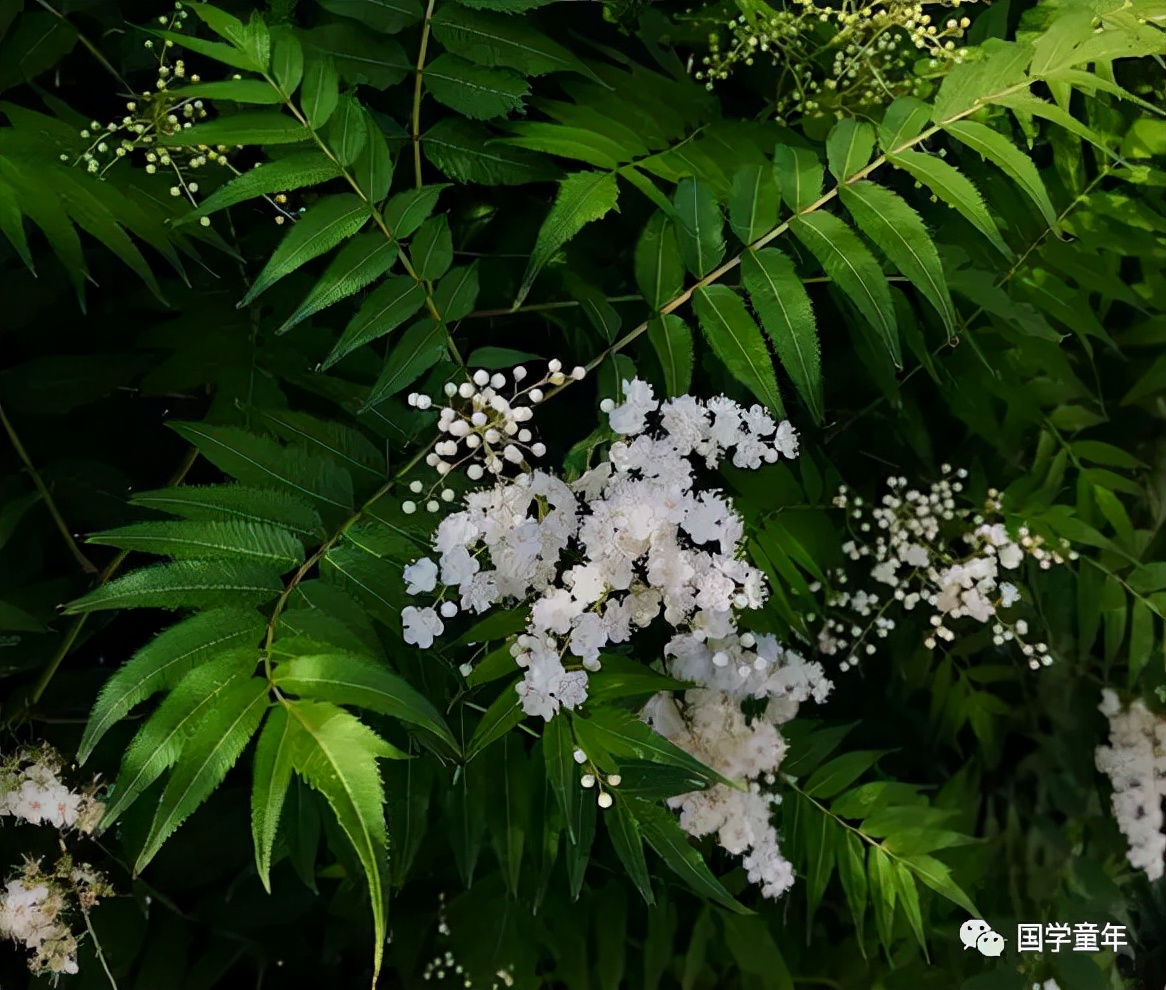 《三字经》--曰春夏曰秋冬此四时运不穷曰南北曰西东此四方应乎中