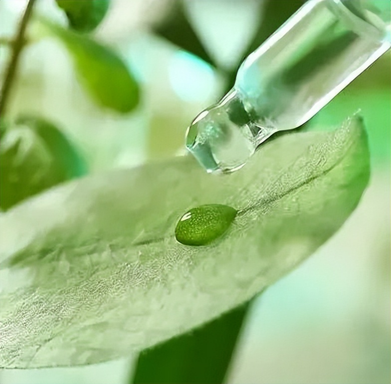 植物提取物是智商税嘛,植物提取物属于食品吗