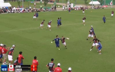 推荐的飞盘游戏,飞盘这种游戏是怎么流行的