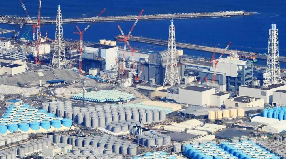 福岛核食物流入我国台湾!日本犯下大错,凭什么让全人类一起承担