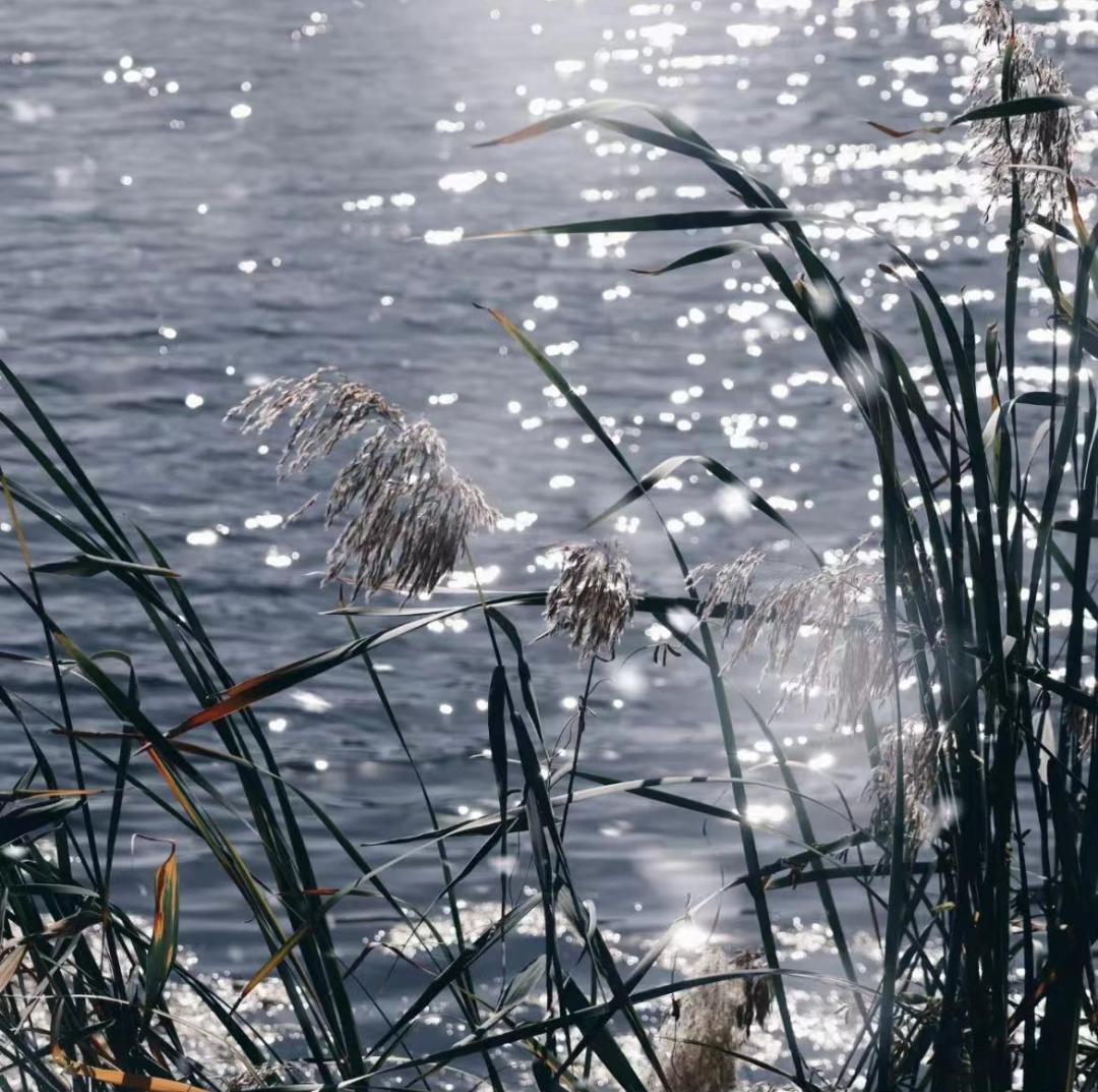 来自八月的浪漫初秋，炫影影像喊你来拍照啦