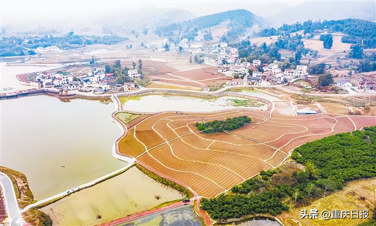 四川重庆党政联席会议第二次会议,重庆四川第六次党政联席会议