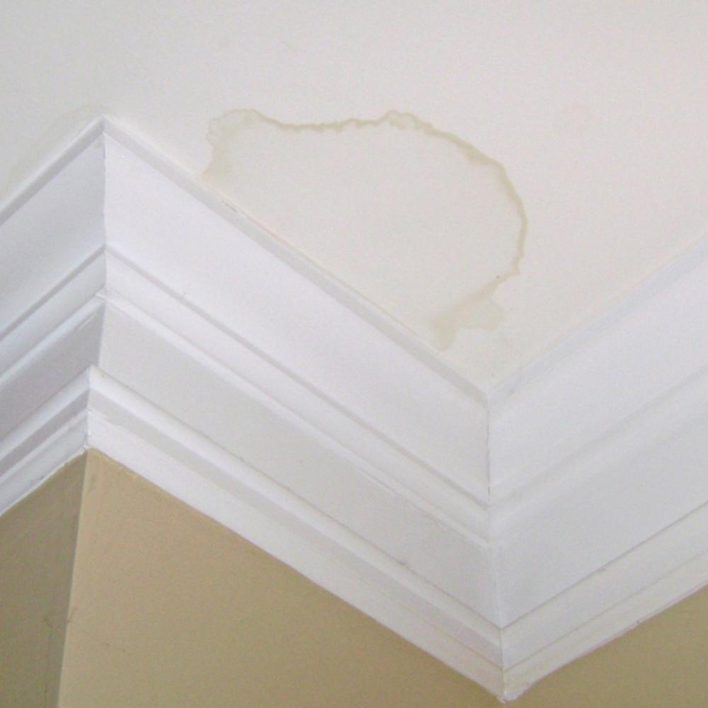 解决家庭矛盾的五条经验,100种家庭维修方法