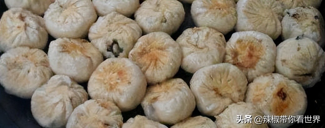 宁德大黄鱼之乡攻略,霞浦大黄鱼之乡图片