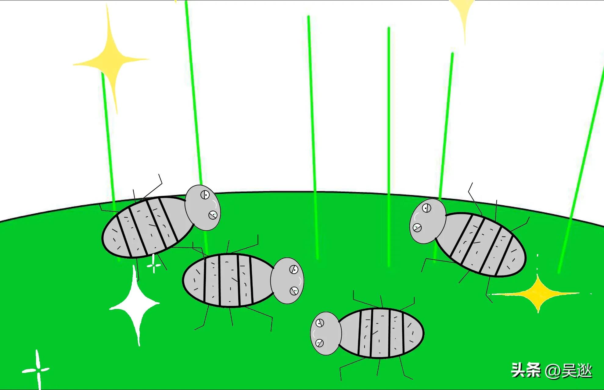 口红是虫子的尸体做的吗,女生口红是虫子尸体提炼的吗