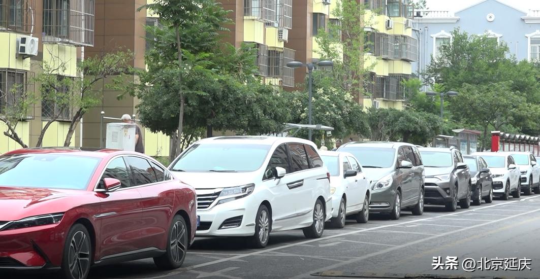 延庆劳动者风采丨儒林街道市民诉求处置中心：全力解决好居民身边的“关键小事”