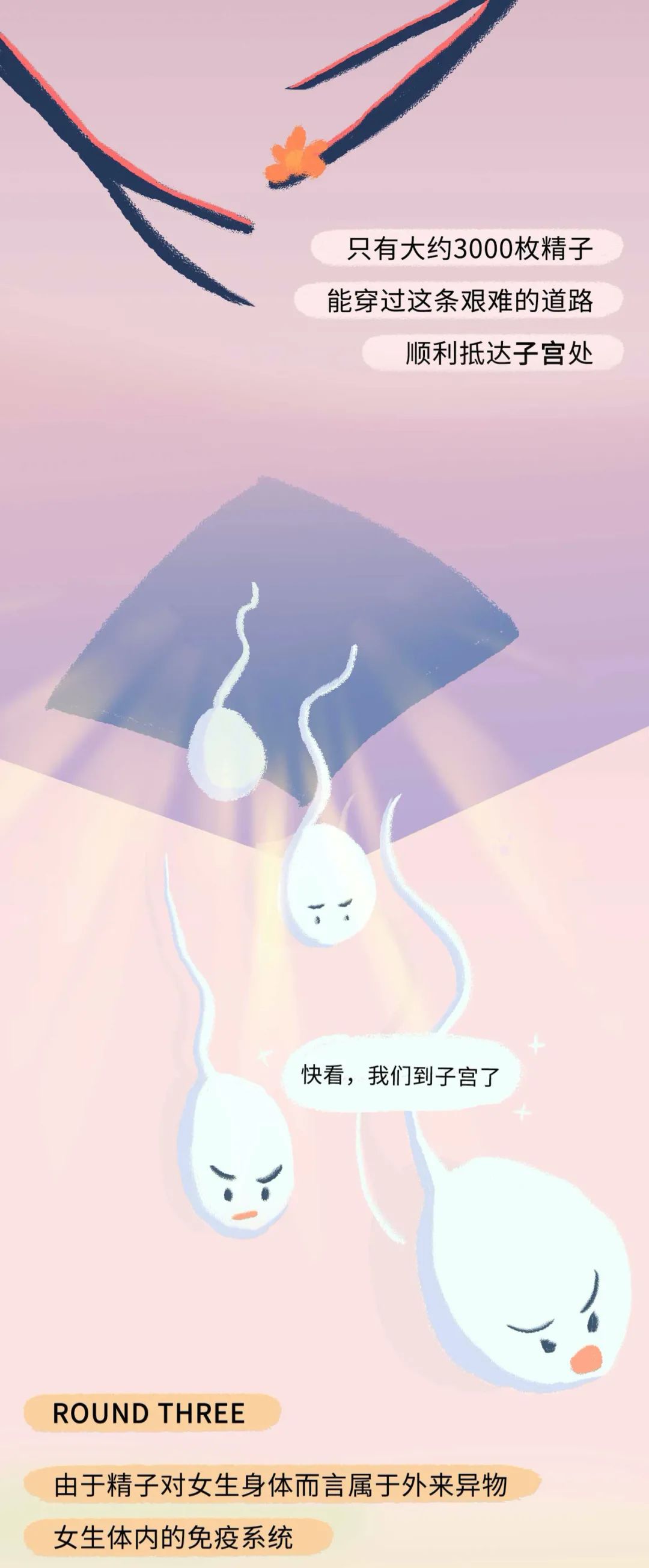 古代女人怀孕了要生宝宝漫画,怀孕的过程讲解漫画