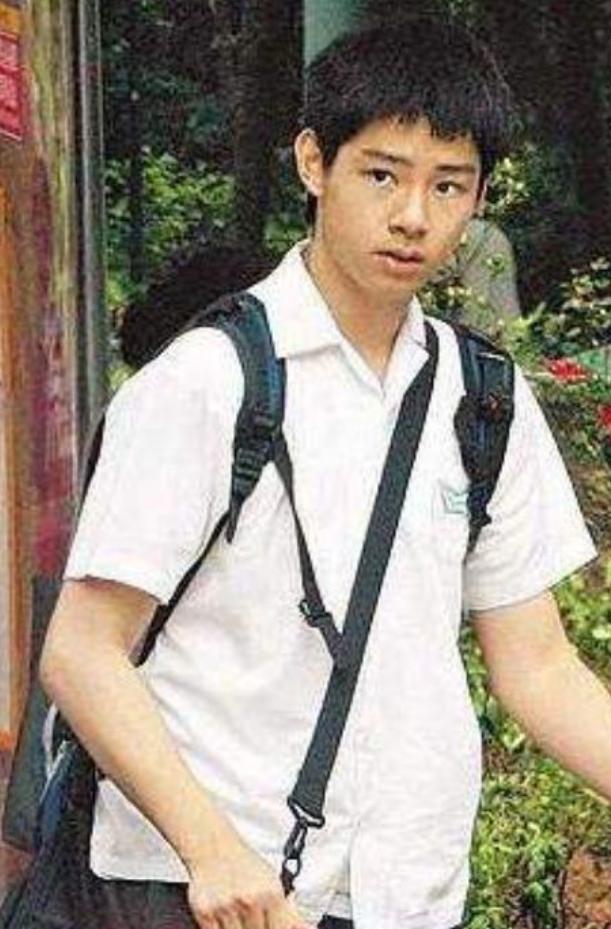 谭咏麟丁克夫妻现状,谭咏麟丁克结婚了吗