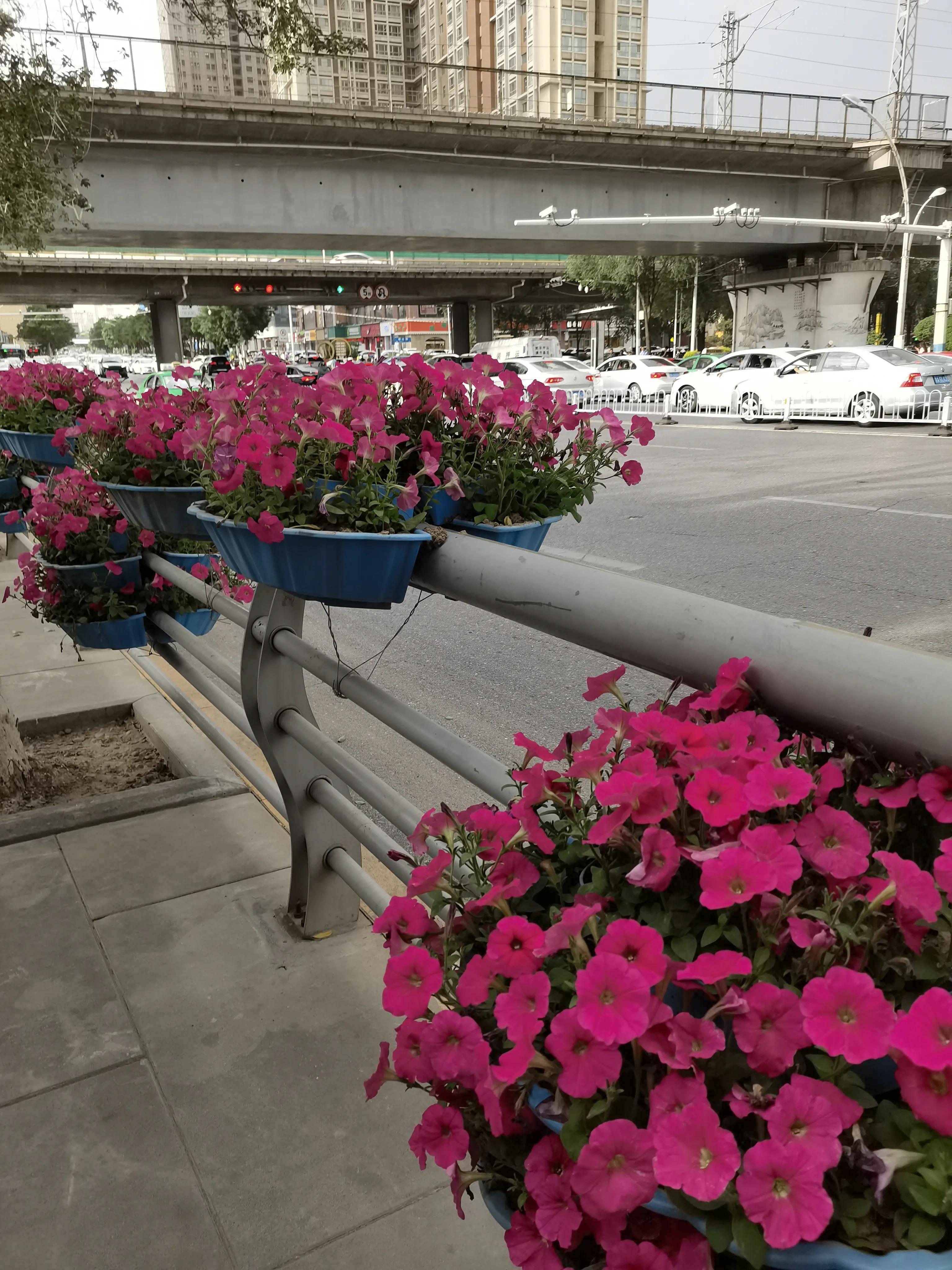 兰州至重庆自驾游沿途的住宿,兰州到青海湖住宿