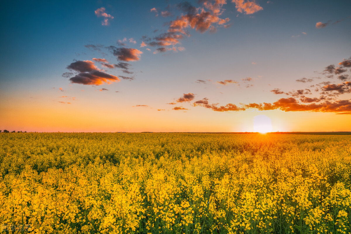 李大霄谈股市：没有必要过度恐慌,李大霄预测2022股市