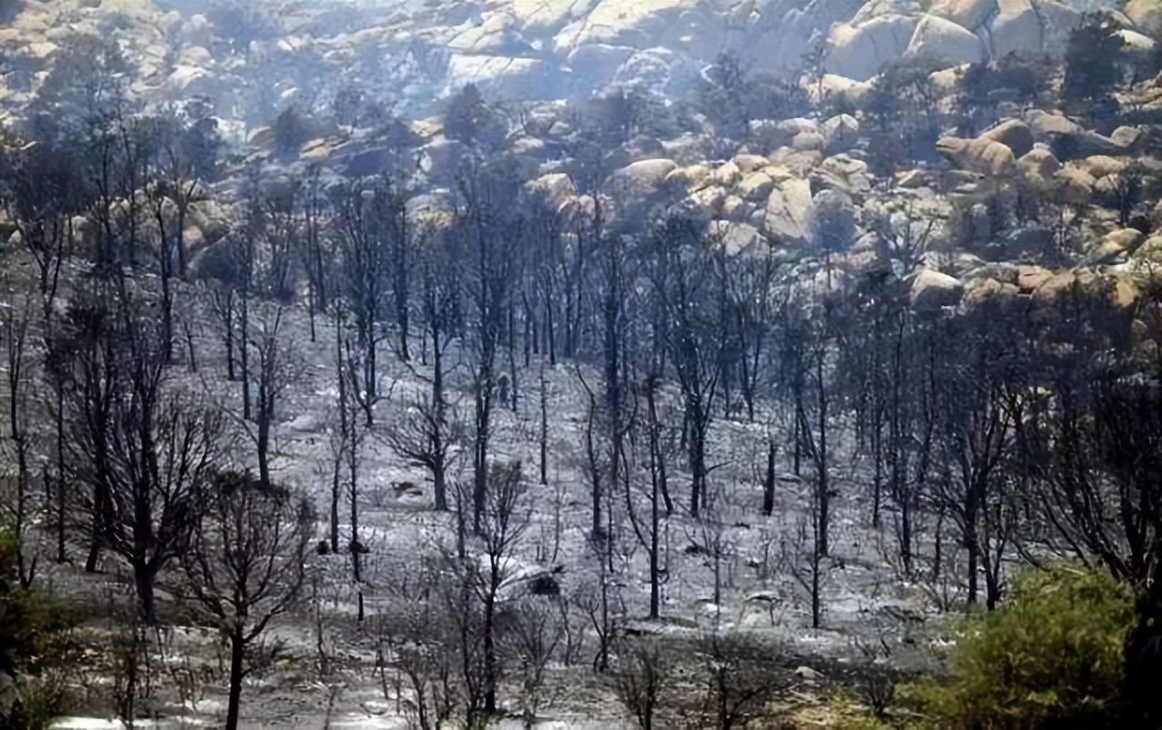 关于消防员的电影勇往直前,美国消防员电影勇往直前