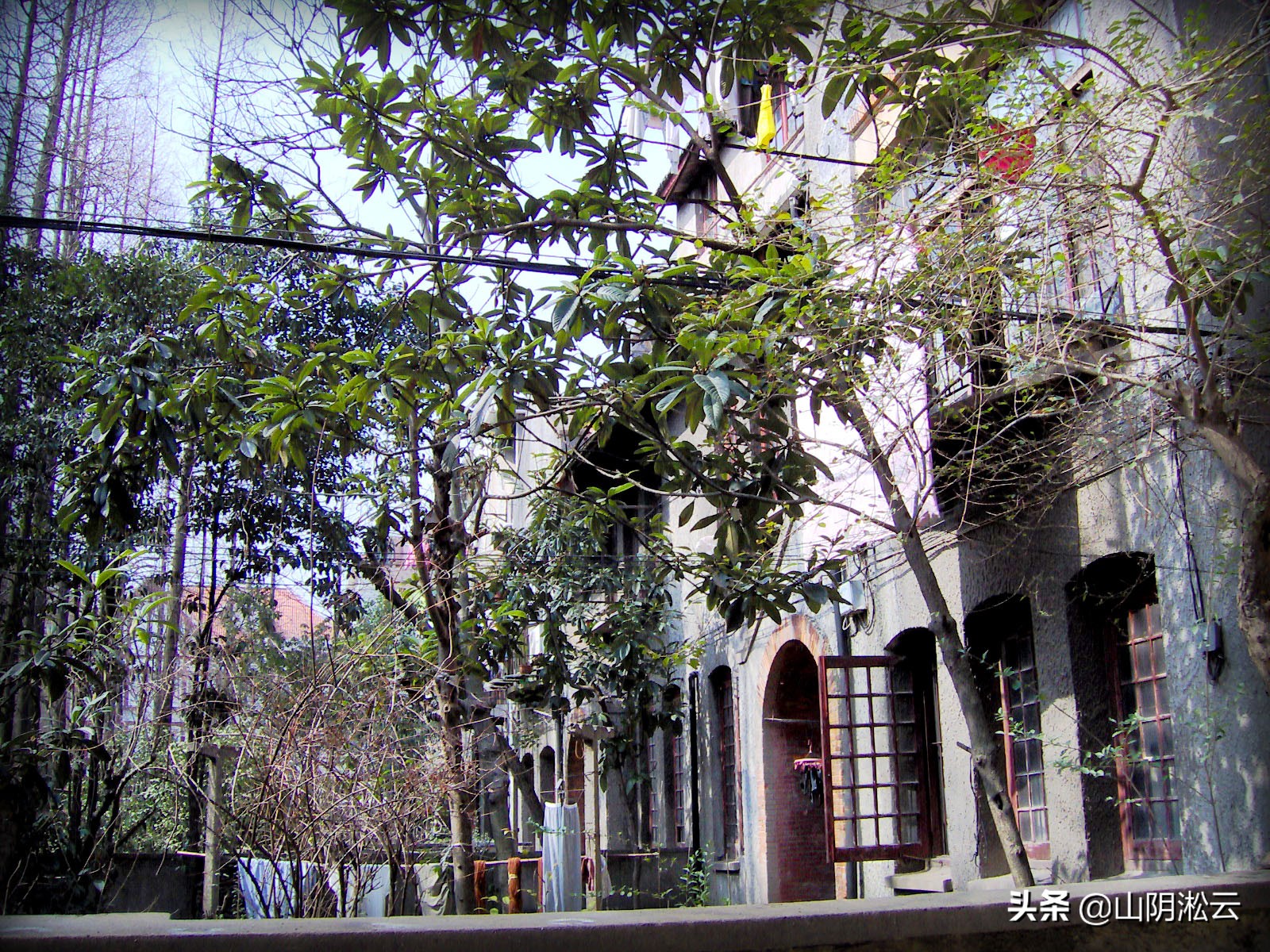 山阴路上千爱里，友爱岁月里的千千记忆