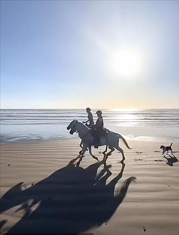 伊万卡和女儿海边,伊万卡和女儿在海边健身视频