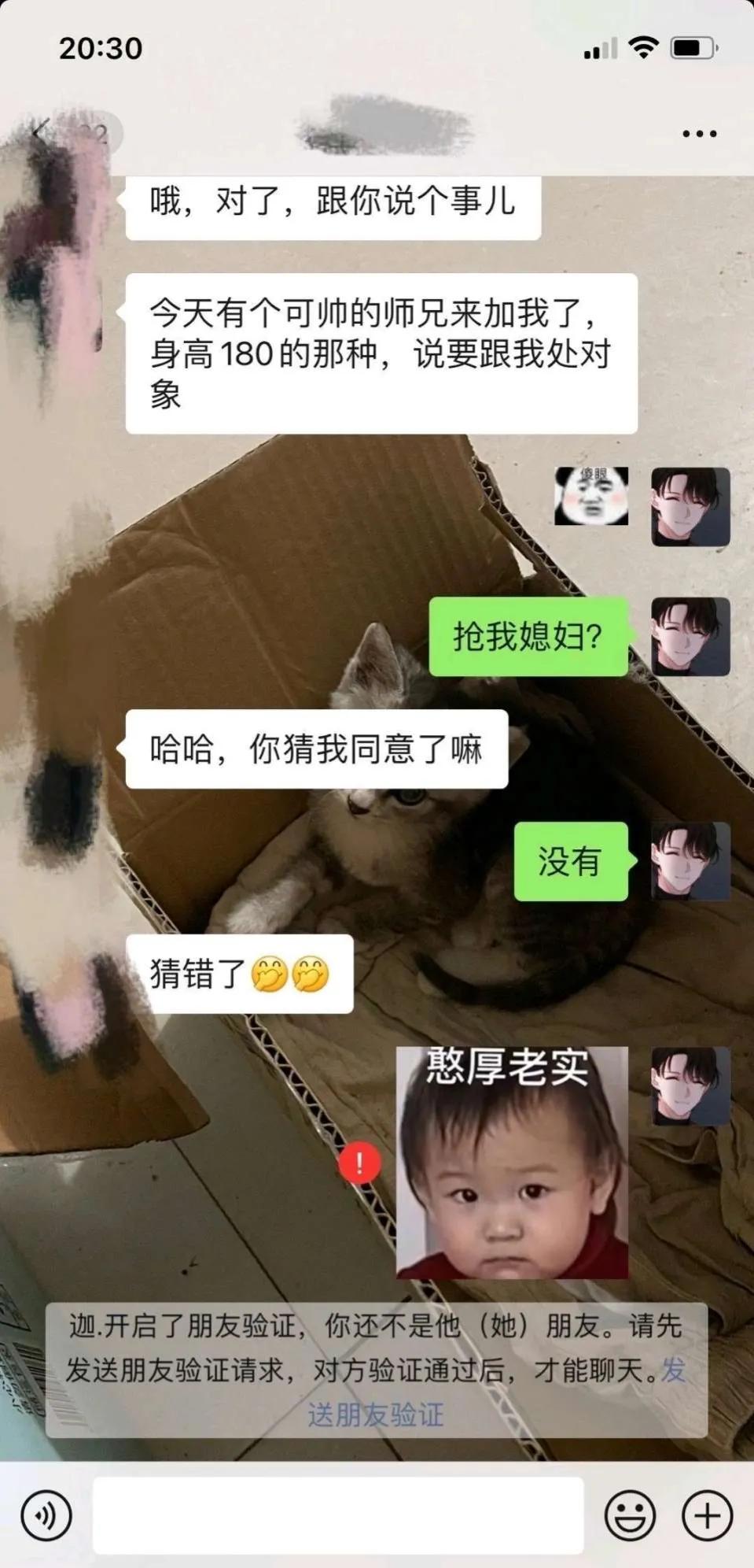 搞笑表白恶搞视频,表白聊天记录截图图片搞笑