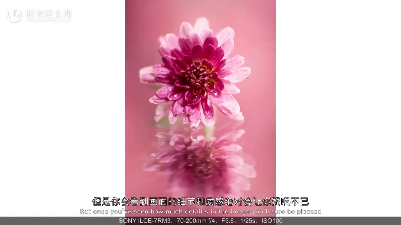 微距镜头拍摄的照片是有什么优点,加近摄镜微距摄影效果如何