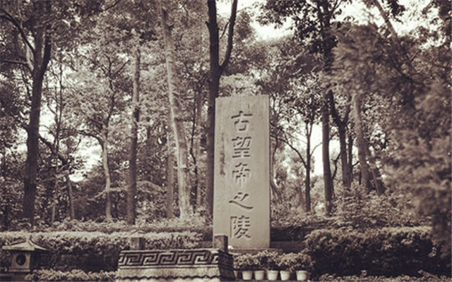 杜鹃鸟鸠占鹊巢的解释搞笑,鸠占鹊巢杜鹃鸟比鸟妈妈还大