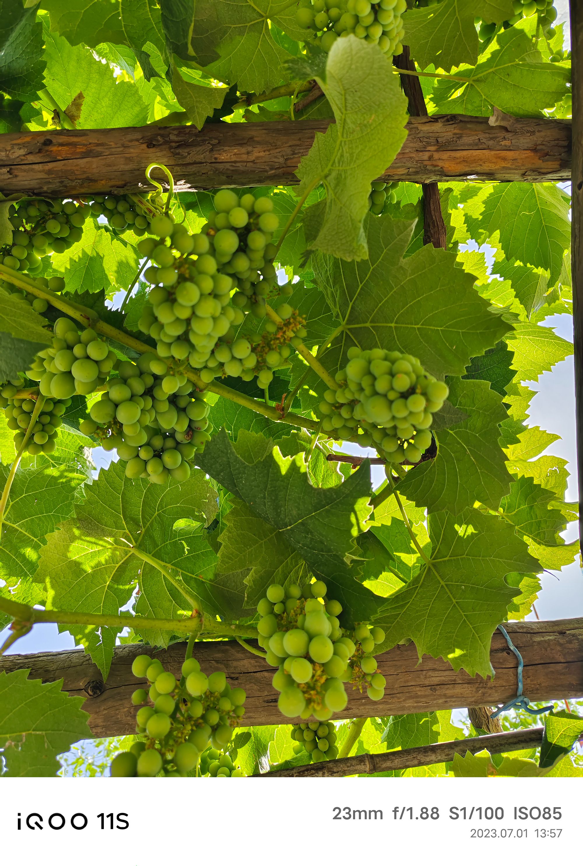 iQOO11S掀翻行业小饭桌，友谊小船真翻了：Super标准杯电竞旗舰