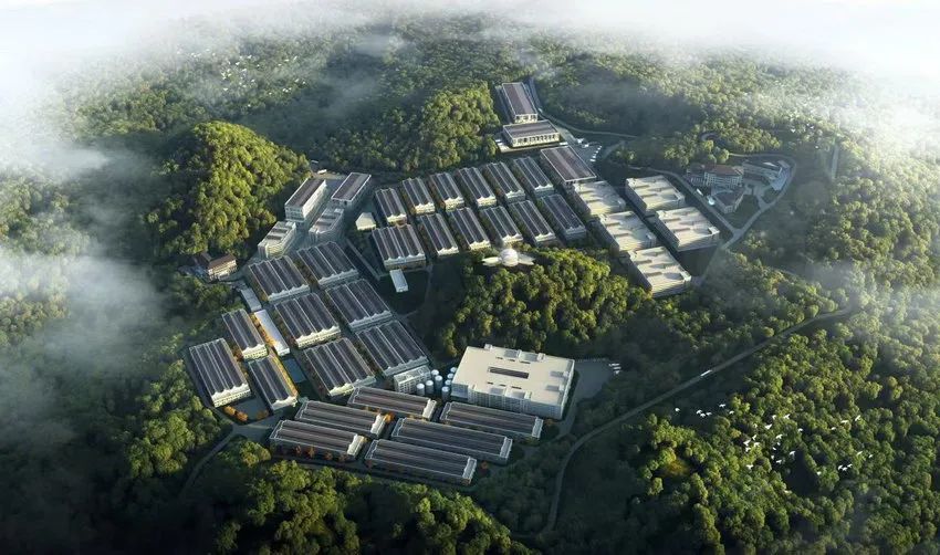 正黄集团在射洪的项目,正黄集团白酒