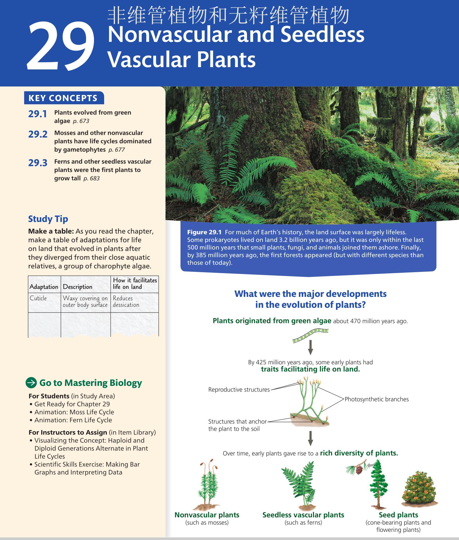 小学基础英语词汇大全人教版,小学英语1600词汇详解