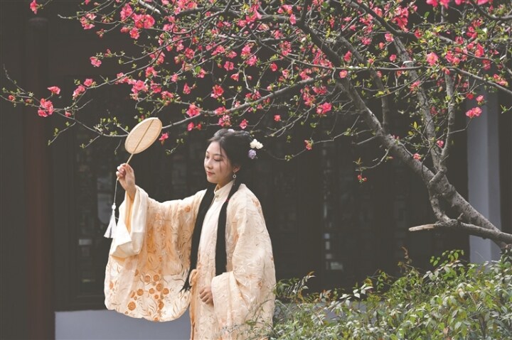 3月成都近郊赏花双流,双流赏花免费地点三月份