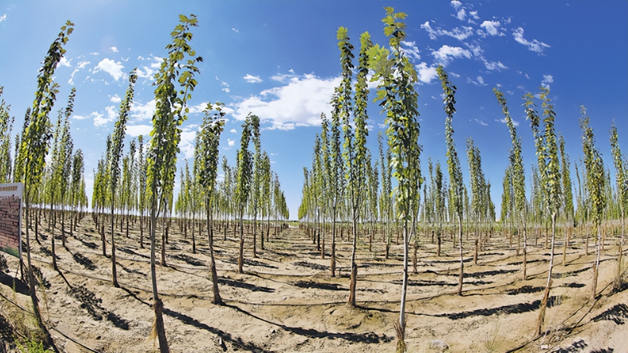 水清岸绿乡村美景图,水清天蓝地绿