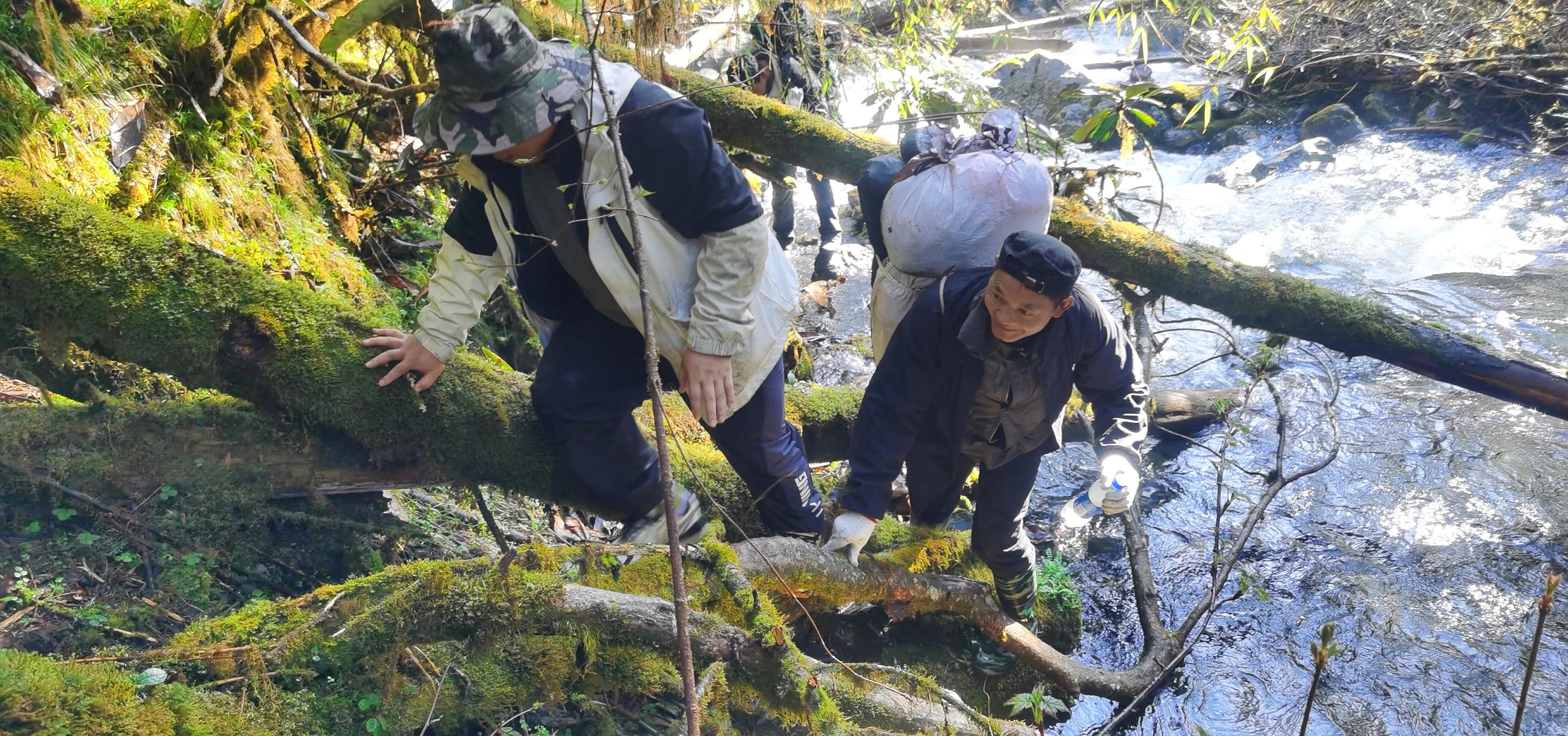 中国百慕大黑竹沟了解一下,中国百慕大黑竹沟近期气温