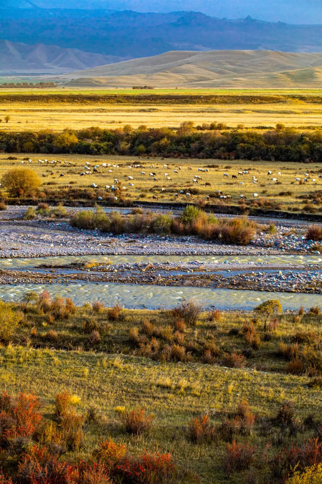 碳水*弹炸**配肉食，甘肃人的年味有多“攒劲”？