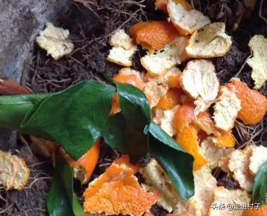 酵素水的正确做法,酵素水制作方法