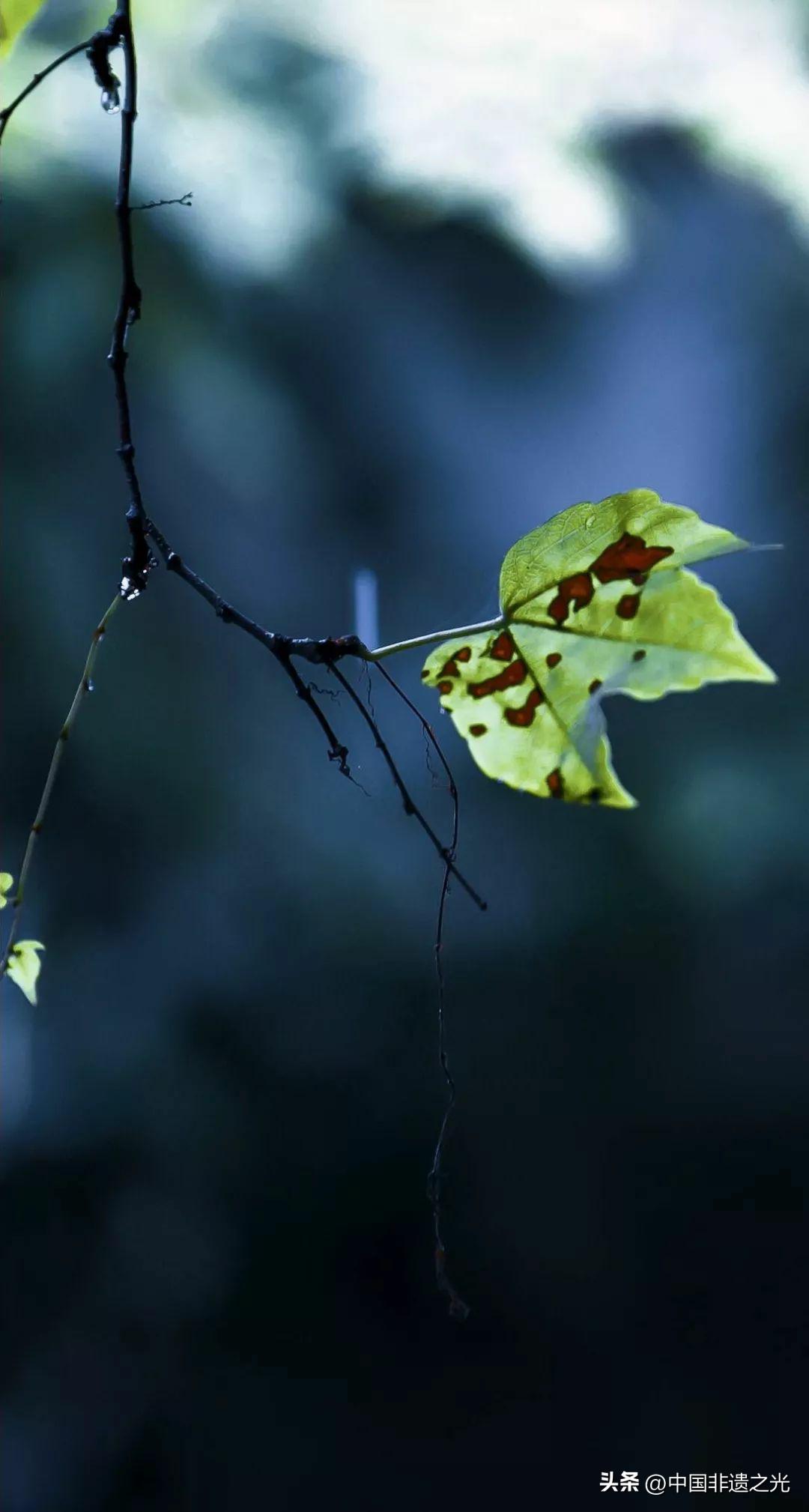 古代浪漫的十件事,盘点古人的浪漫