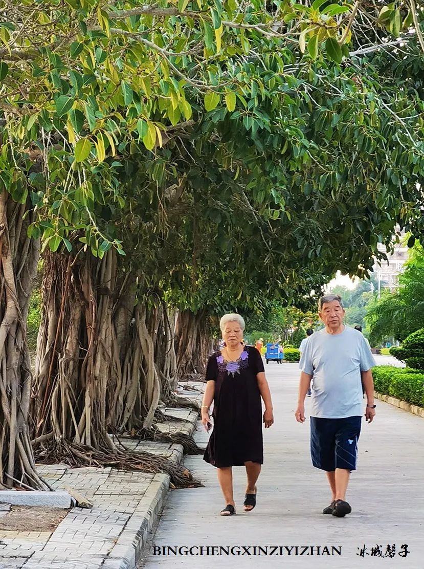 旅居海南,旅居式旅游生活海南