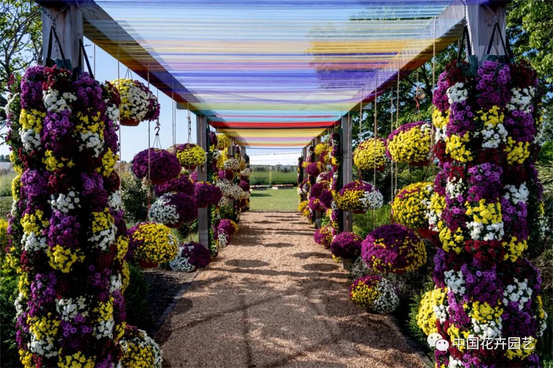 鑺卞崏鍝佺灞曠ず,鏂颁紭鑺卞崏鍝佺灞曠ず