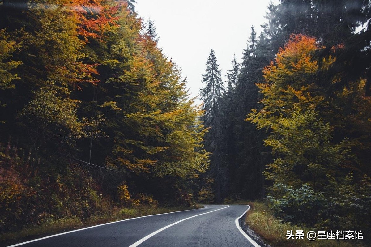 被人低估的狮子座,狮子座爱你的实际表现和内心表现