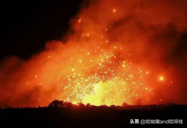 前有思聪吃热狗，后有婆孙插队，将真人做成表情包是否侵犯肖像权