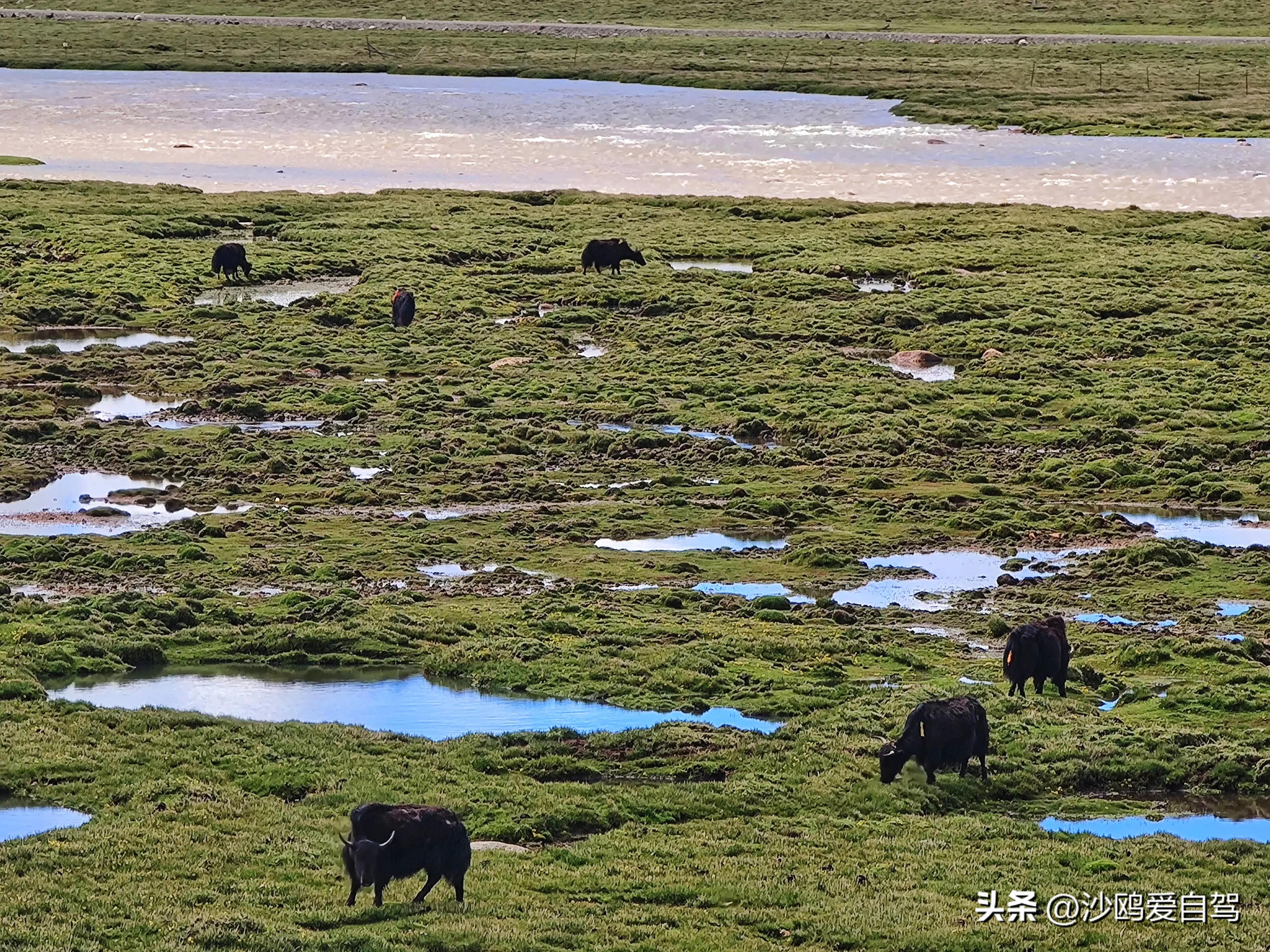 西藏自驾游三大圣湖,自驾西藏行摄之旅米堆冰川