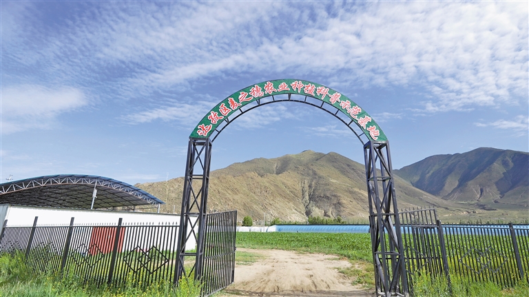 发展农村电商助推产业兴旺,电商赋能产业助力乡村振兴