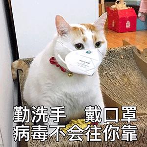 医学与健康科普,健康知识普及ppt模板