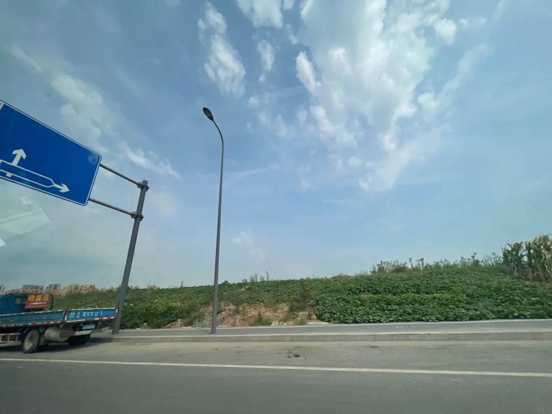 华府板块房价下降原因,华府未来房价