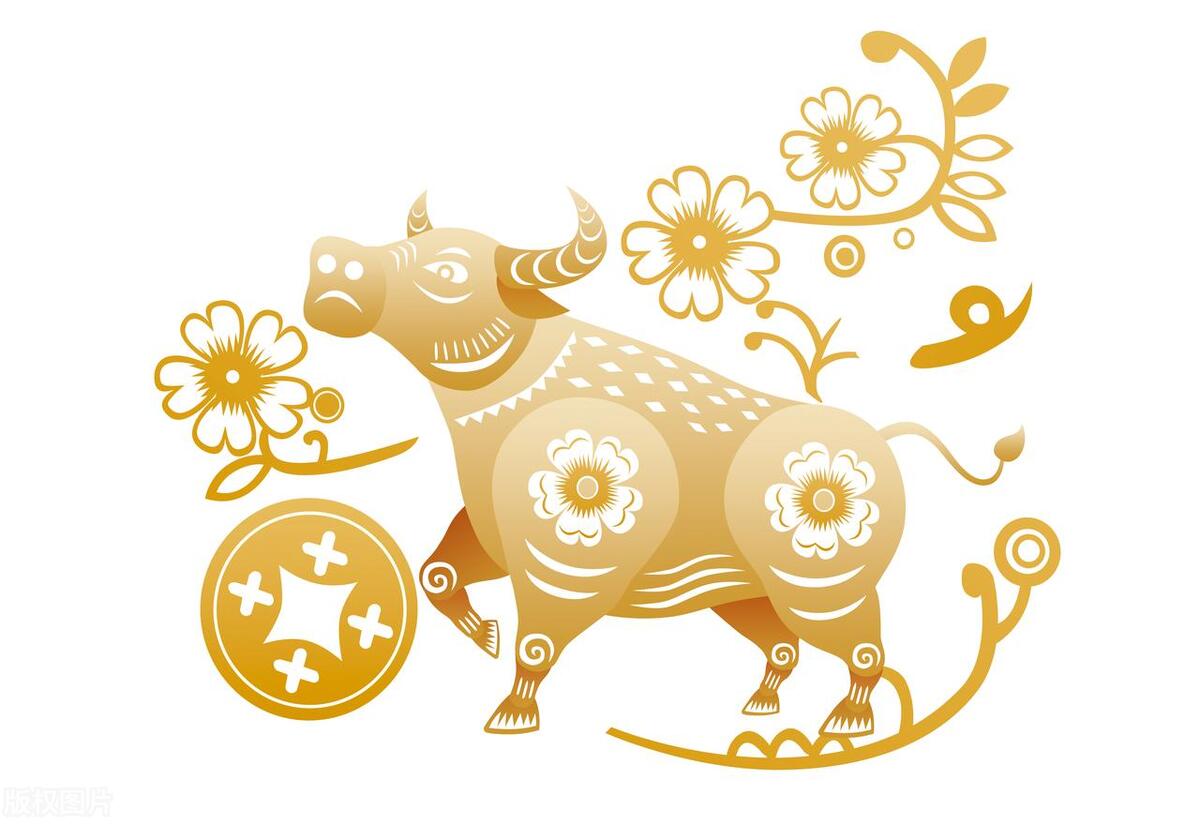 生肖牛提升运气的五个方法,生肖牛2024年运势详解完整版