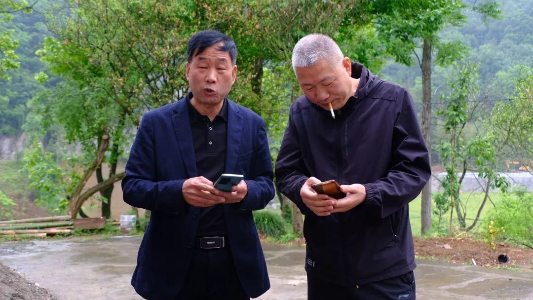 相聚仍是青年——记情系四中群友聚