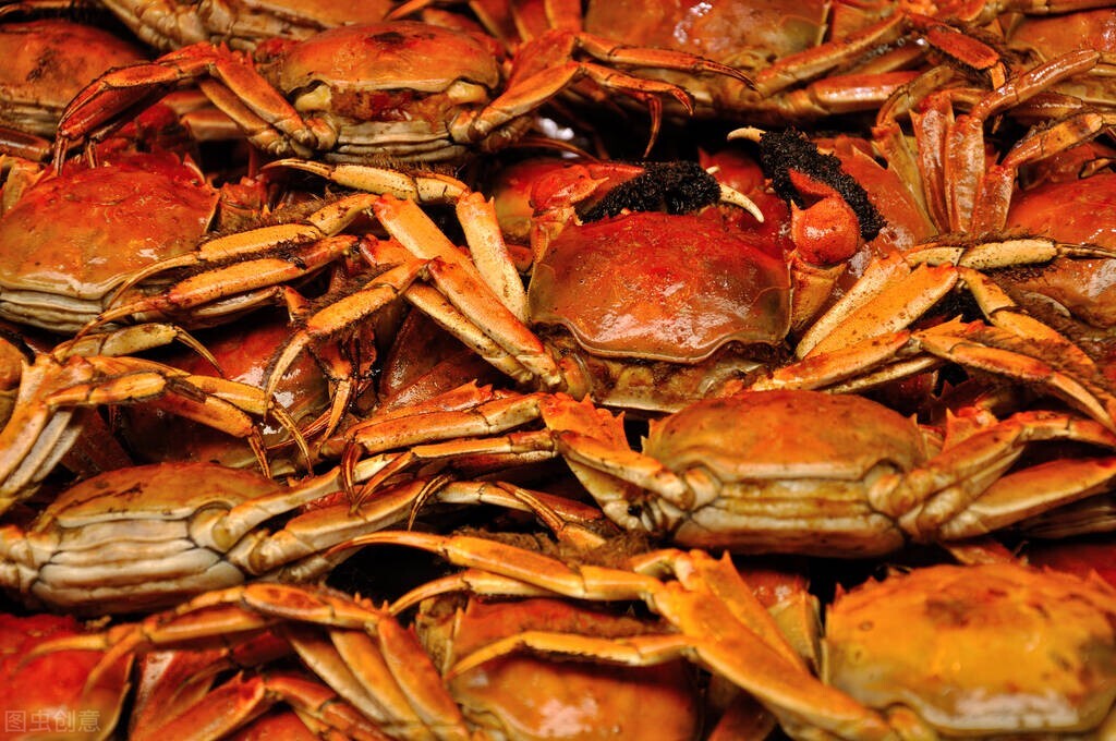 大闸蟹整塘死亡，蟹农损失严重，螃蟹要涨价？网友热议