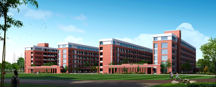 合肥前十名高中,合肥市有哪些高中学校