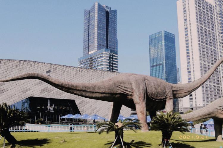 合肥市肥西县旅游景点,春节合肥市旅游景点