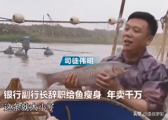 银行副行长辞职赚钱,中国银行副行长辞职